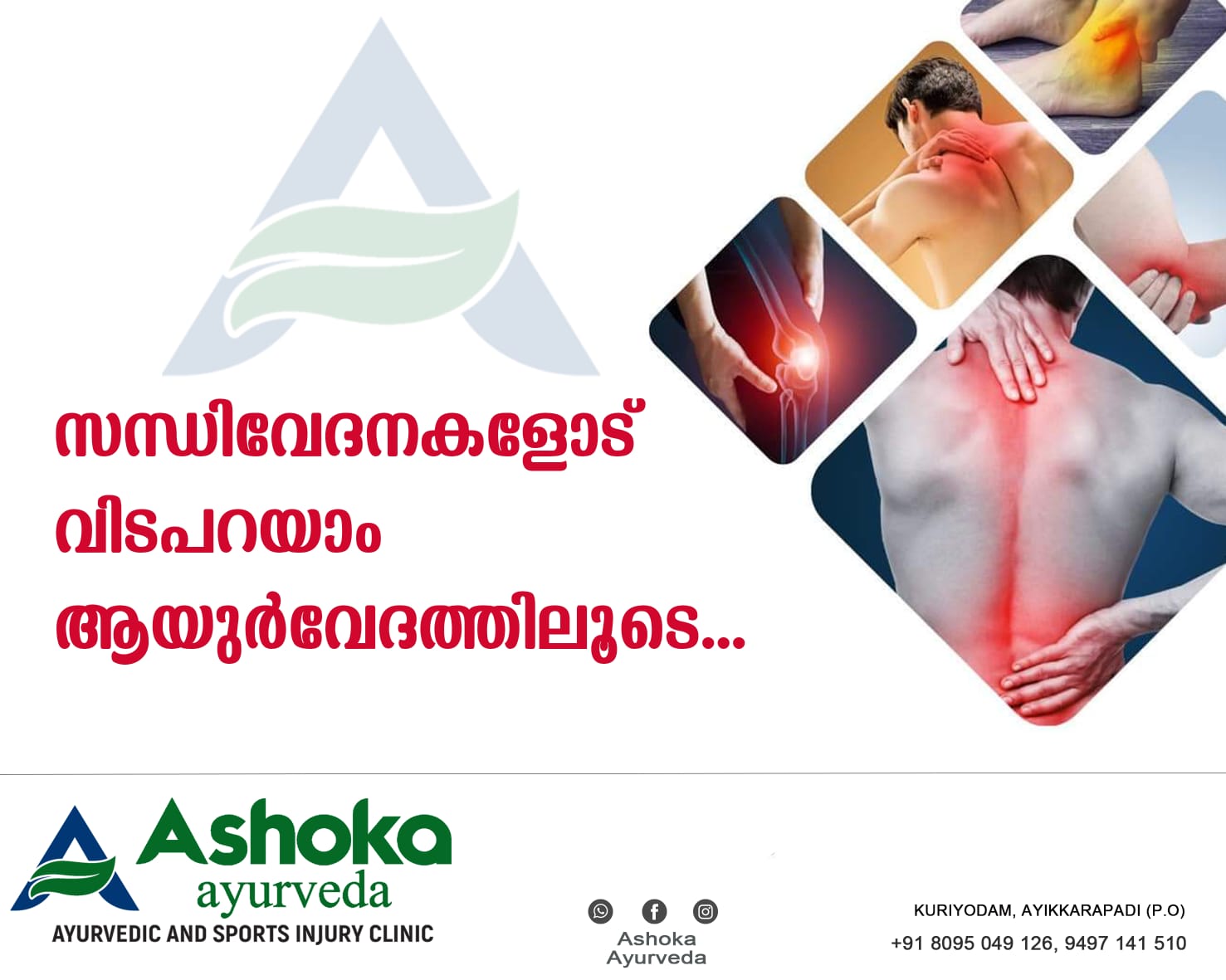 Ashoka Ayurveda